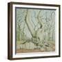 Swithland Oak, 2014-Ann Brain-Framed Giclee Print