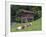 Switzerland, Bern Canton, Ballenberg, Dairy Cows and Cheese Storehouse-Jamie And Judy Wild-Framed Photographic Print