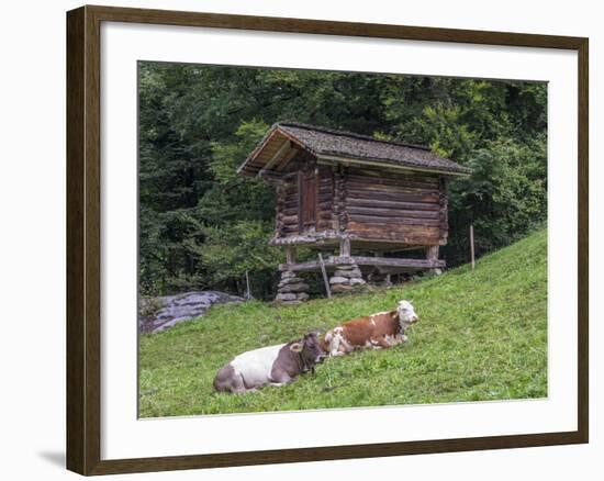 Switzerland, Bern Canton, Ballenberg, Dairy Cows and Cheese Storehouse-Jamie And Judy Wild-Framed Photographic Print