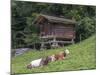 Switzerland, Bern Canton, Ballenberg, Dairy Cows and Cheese Storehouse-Jamie And Judy Wild-Mounted Photographic Print