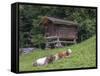 Switzerland, Bern Canton, Ballenberg, Dairy Cows and Cheese Storehouse-Jamie And Judy Wild-Framed Stretched Canvas