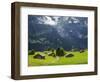 Switzerland, Bern Canton, Grindelwald, Alpine Farm Area-Jamie And Judy Wild-Framed Photographic Print