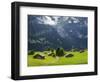 Switzerland, Bern Canton, Grindelwald, Alpine Farm Area-Jamie And Judy Wild-Framed Photographic Print