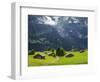 Switzerland, Bern Canton, Grindelwald, Alpine Farm Area-Jamie And Judy Wild-Framed Photographic Print