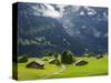 Switzerland, Bern Canton, Grindelwald, Alpine Farm Area-Jamie And Judy Wild-Stretched Canvas