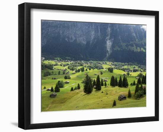 Switzerland, Bern Canton, Grindelwald, Alpine Farming Community-Jamie And Judy Wild-Framed Photographic Print