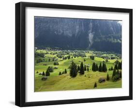 Switzerland, Bern Canton, Grindelwald, Alpine Farming Community-Jamie And Judy Wild-Framed Photographic Print