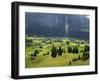 Switzerland, Bern Canton, Grindelwald, Alpine Farming Community-Jamie And Judy Wild-Framed Photographic Print