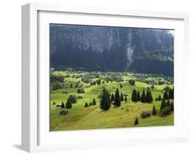 Switzerland, Bern Canton, Grindelwald, Alpine Farming Community-Jamie And Judy Wild-Framed Photographic Print