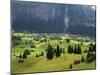 Switzerland, Bern Canton, Grindelwald, Alpine Farming Community-Jamie And Judy Wild-Mounted Photographic Print