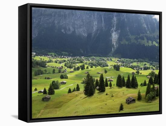 Switzerland, Bern Canton, Grindelwald, Alpine Farming Community-Jamie And Judy Wild-Framed Stretched Canvas