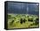 Switzerland, Bern Canton, Grindelwald, Alpine Farming Community-Jamie And Judy Wild-Framed Stretched Canvas