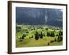 Switzerland, Bern Canton, Grindelwald, Alpine Farming Community-Jamie And Judy Wild-Framed Photographic Print