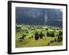 Switzerland, Bern Canton, Grindelwald, Alpine Farming Community-Jamie And Judy Wild-Framed Photographic Print