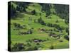 Switzerland, Bern Canton, Grindelwald, Apline Farming Community-Jamie And Judy Wild-Stretched Canvas