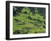 Switzerland, Bern Canton, Grindelwald, Apline Farming Community-Jamie And Judy Wild-Framed Photographic Print