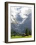 Switzerland, Bern Canton, Grindelwald, Barns Near First-Jamie And Judy Wild-Framed Photographic Print