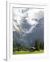 Switzerland, Bern Canton, Grindelwald, Barns Near First-Jamie And Judy Wild-Framed Photographic Print