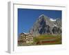 Switzerland, Bern Canton, Kleine Scheidegg, Jungfraubahn Train and the Eiger North Face-Jamie And Judy Wild-Framed Photographic Print