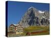 Switzerland, Bern Canton, Kleine Scheidegg, Jungfraubahn Train and the Eiger North Face-Jamie And Judy Wild-Stretched Canvas