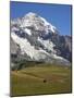 Switzerland, Bern Canton, Kleine Scheidegg, Jungfraubahn Train Cars with the Monk-Jamie And Judy Wild-Mounted Photographic Print