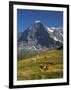 Switzerland, Bern Canton, Mannlichen Area, Swiss Cows , Background-Jamie And Judy Wild-Framed Photographic Print