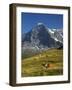 Switzerland, Bern Canton, Mannlichen Area, Swiss Cows , Background-Jamie And Judy Wild-Framed Photographic Print
