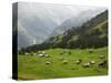 Switzerland, Bern Canton, Murren, Alpine Farming and Pasture Area-Jamie And Judy Wild-Stretched Canvas