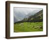 Switzerland, Bern Canton, Murren, Alpine Farming and Pasture Area-Jamie And Judy Wild-Framed Photographic Print