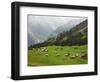 Switzerland, Bern Canton, Murren, Alpine Farming and Pasture Area-Jamie And Judy Wild-Framed Photographic Print