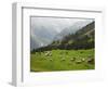 Switzerland, Bern Canton, Murren, Alpine Farming and Pasture Area-Jamie And Judy Wild-Framed Photographic Print