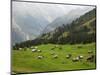 Switzerland, Bern Canton, Murren, Alpine Farming and Pasture Area-Jamie And Judy Wild-Mounted Photographic Print