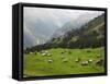 Switzerland, Bern Canton, Murren, Alpine Farming and Pasture Area-Jamie And Judy Wild-Framed Stretched Canvas