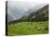 Switzerland, Bern Canton, Murren, Alpine Farming and Pasture Area-Jamie And Judy Wild-Stretched Canvas