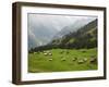 Switzerland, Bern Canton, Murren, Alpine Farming and Pasture Area-Jamie And Judy Wild-Framed Photographic Print