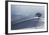 Switzerland, Bern-Mittelland, Bernese Alps-David Barnes-Framed Photographic Print