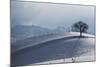 Switzerland, Bern-Mittelland, Bernese Alps-David Barnes-Mounted Photographic Print