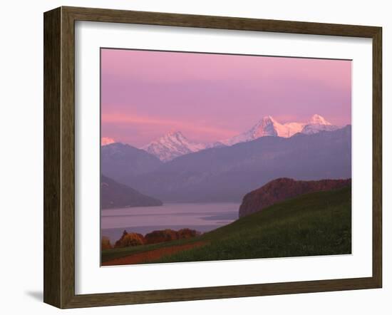 Switzerland, Bernese Alps, Lake Thun-null-Framed Photographic Print