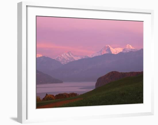 Switzerland, Bernese Alps, Lake Thun-null-Framed Photographic Print