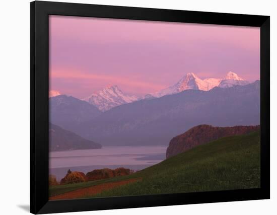 Switzerland, Bernese Alps, Lake Thun-null-Framed Photographic Print