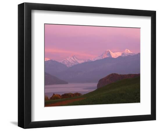 Premium Photographic Print, , large