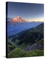 Switzerland, Bernese Oberland, Grindelwald, First, Mt Eiger-Michele Falzone-Stretched Canvas