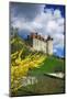 Switzerland, 'Chateau De Gruy?res' in the Swiss Canton Fribourg on a Sunny Spring Day-Uwe Steffens-Mounted Photographic Print
