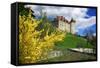 Switzerland, 'Chateau De Gruy?res' in the Swiss Canton Fribourg on a Sunny Spring Day-Uwe Steffens-Framed Stretched Canvas