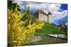 Switzerland, 'Chateau De Gruy?res' in the Swiss Canton Fribourg on a Sunny Spring Day-Uwe Steffens-Mounted Photographic Print