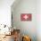 Switzerland Country Flag - Barnwood Painting-Lantern Press-Stretched Canvas displayed on a wall