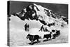 Switzerland - Dogsledding at Jungfraujoch-Lantern Press-Stretched Canvas