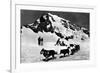 Switzerland - Dogsledding at Jungfraujoch-Lantern Press-Framed Art Print