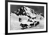 Switzerland - Dogsledding at Jungfraujoch-Lantern Press-Framed Art Print