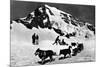 Switzerland - Dogsledding at Jungfraujoch-Lantern Press-Mounted Art Print